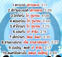 อุ่นไอจากมิตรสหาย 2 VCD1702-WEB2